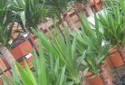 Relbiaplant-nursery-10.jpg; ?>