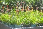 Relbiaplant-nursery-17.jpg; ?>