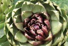 Relbiaplant-nursery-1.jpg; ?>