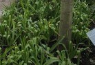 Relbiaplant-nursery-23.jpg; ?>